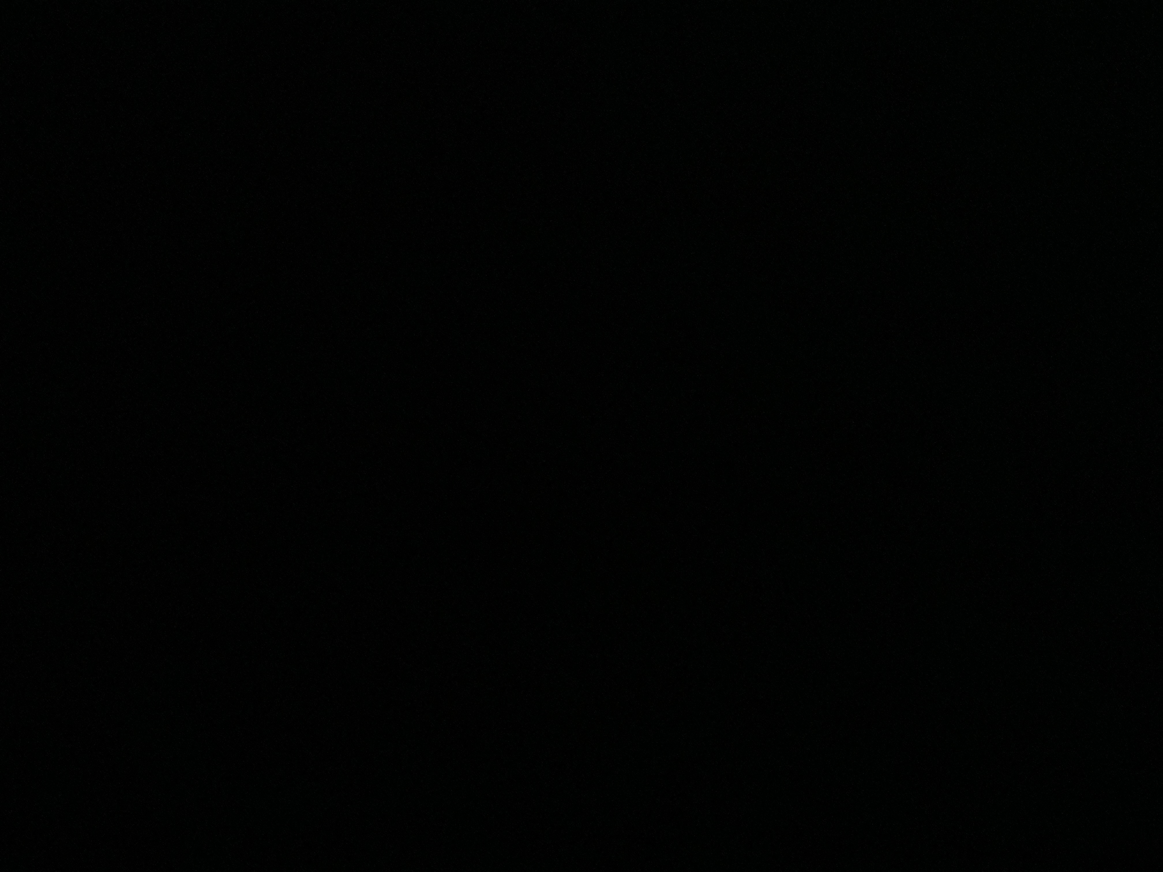 닌텐도 스위치