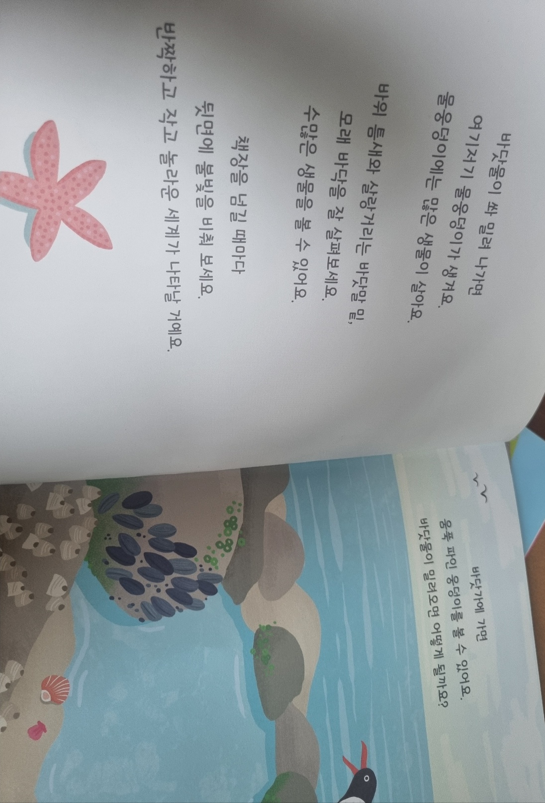 상상수프 전집